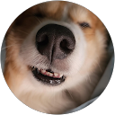 Selvy profile picture